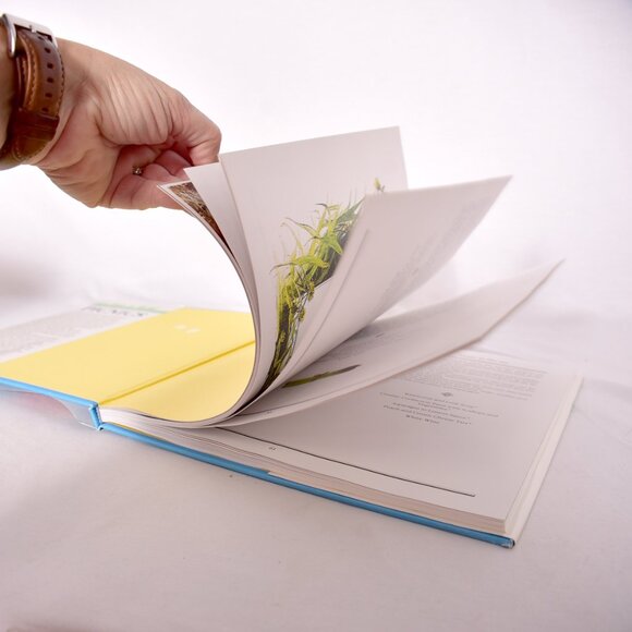 Picnics, Outdoor Dining Book, by Marilyn Myers, Tiffany Blue Colored Cookbook - Picture 7 of 10